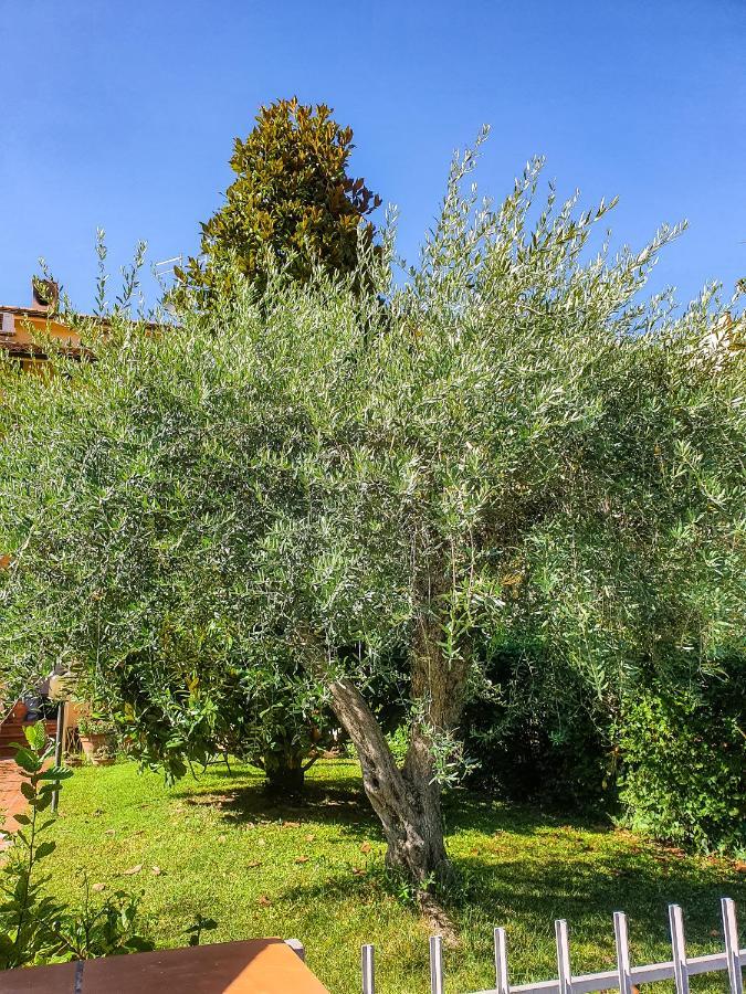 Villa Elsa, Cesena Zona Ippodromo Εξωτερικό φωτογραφία