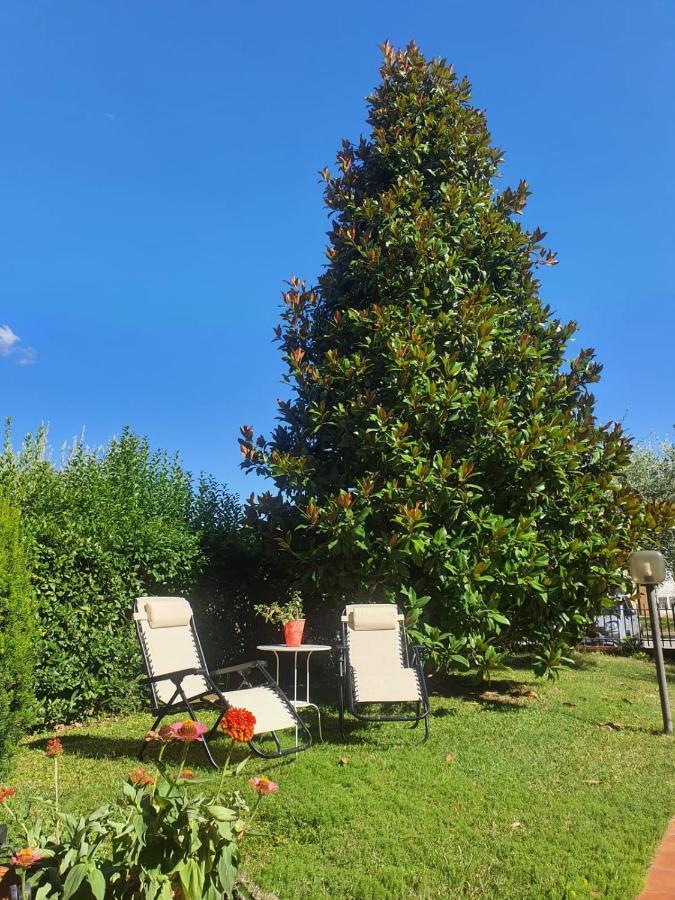 Villa Elsa, Cesena Zona Ippodromo Εξωτερικό φωτογραφία