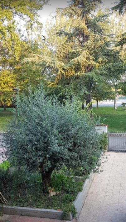 Villa Elsa, Cesena Zona Ippodromo Εξωτερικό φωτογραφία