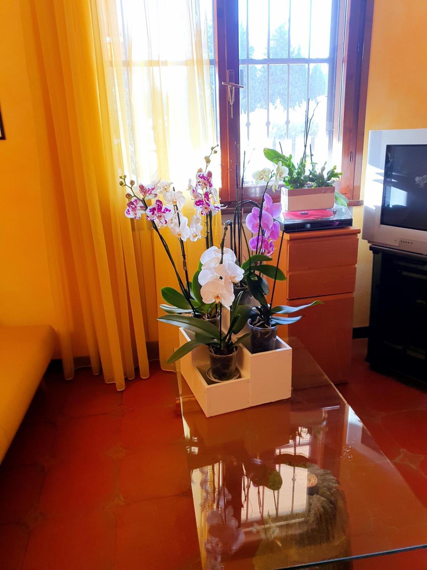 Villa Elsa, Cesena Zona Ippodromo Εξωτερικό φωτογραφία